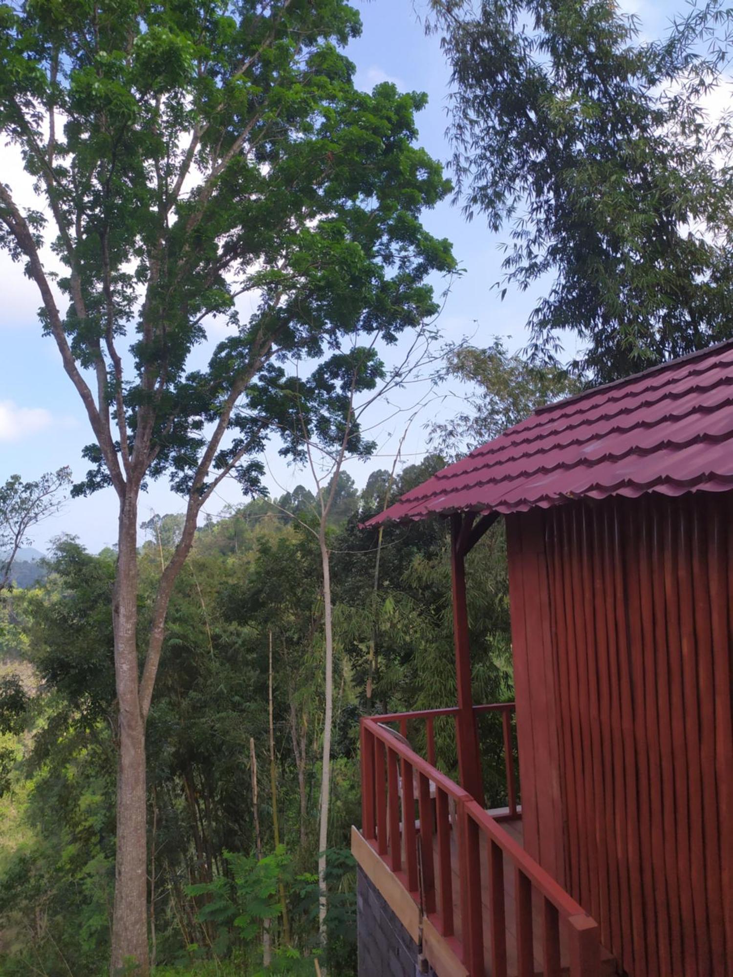Happy Monkeys Village Sidomukti Экстерьер фото